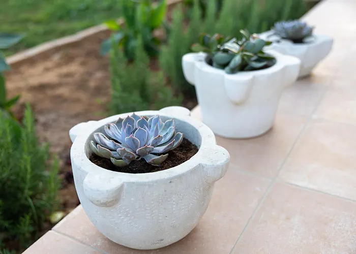 Ruby Pessada Vila Pesádha